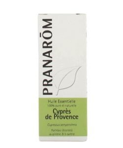 Cyprès de Provence (Cupressus sempervirens)